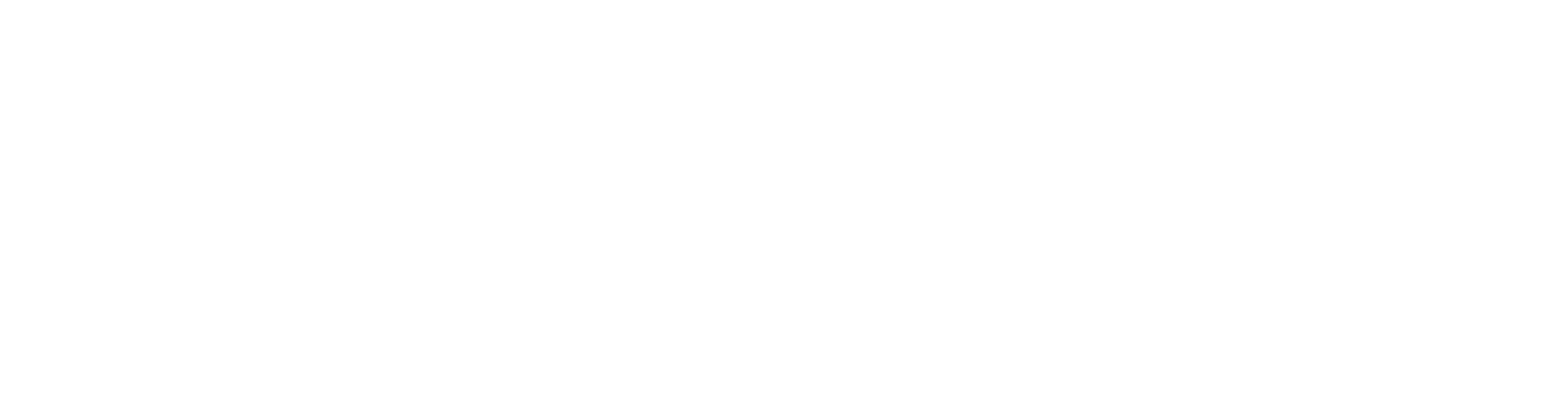 Vkey Logo